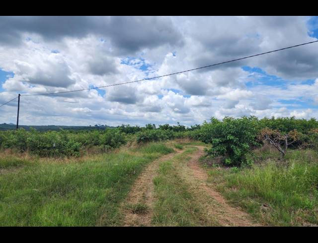 742,854M² FARM FOR SALE IN LEVUBU